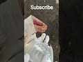 subscribe please video ❤️ like please video ❤️❤️❤️❤️ foryou subscribe My Chanel ❤️❤️❤️❤️❤️❤️