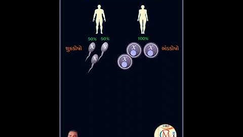 Science Class 10 || વિજ્ઞાન ધોરણ 10 ||પ્રકરણ 9||આનુવંશિકતા ઉદવિકાસ|| લિંગનિશ્ચયન ||sex determination