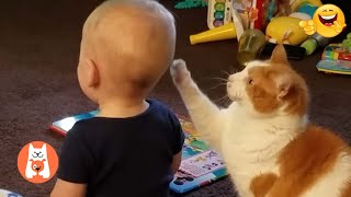 Videos Graciosos de Gatos y Bebés 😂 Bebés y Gatitos Creciendo Juntos || Espanol Funniest Videos