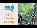 Safe use of chainsaws in the canopy