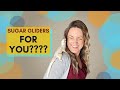 Are Sugar Gliders a GOOD FIT for YOU? | Sugar Glider Diaries