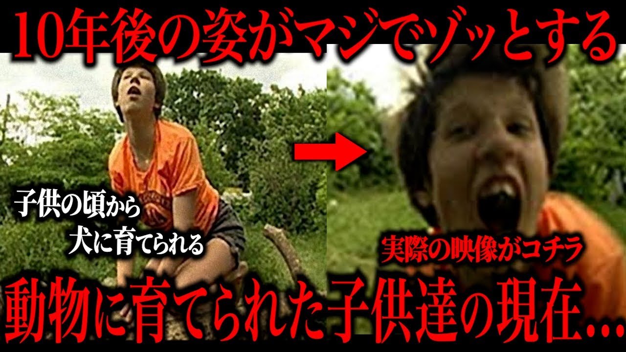 動物に育てられた子どもたちの現在がヤバすぎる…