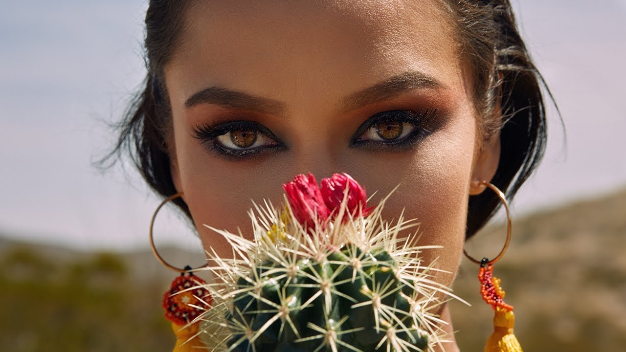 flor de cactus bts jude youtube