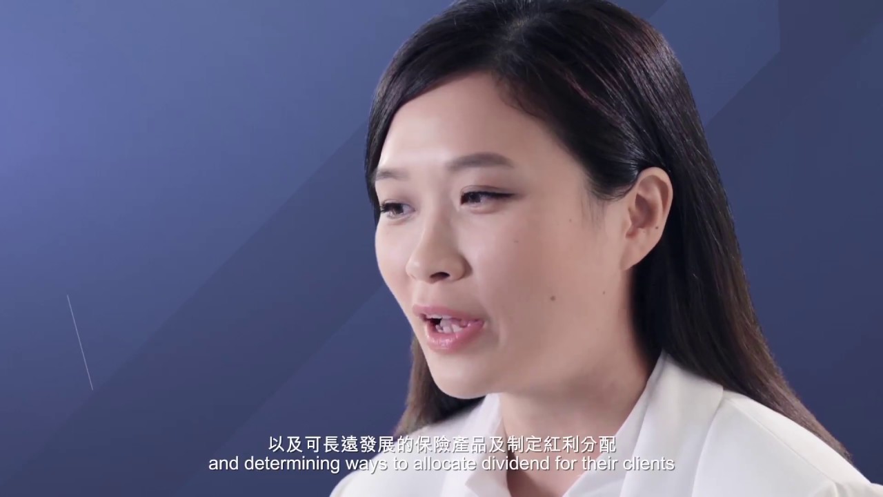 MSC Numberland - Careers