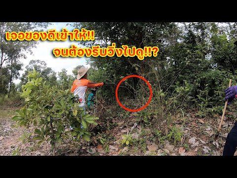 เจอของดีเข้าให้!!-จนต้องรีบวิ่