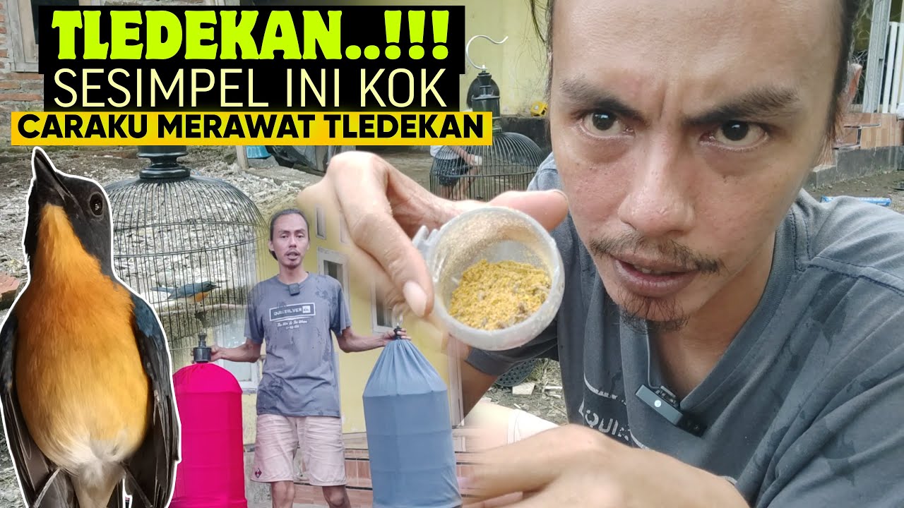 CARAKU MERAWAT TLEDEKAN SESIMPEL INI KOK ⁉️ GAK PAKE RIBET