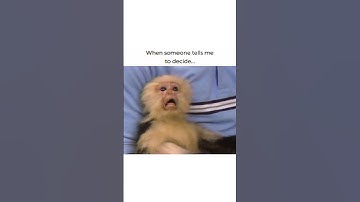 Me trying to make a simple decision 😭💀