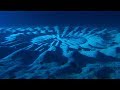 7 Mysteries of Underwater Aliens (Part 2)