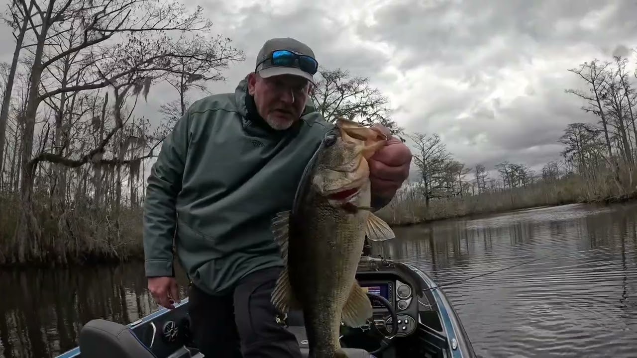Bass fishing on Pasquotank River Elizabeth City NC