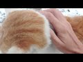 my friends(cat) who welcome me
