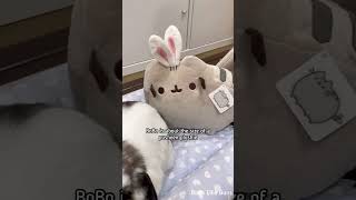 Adorable bunny moment 🐰💕 Resimi