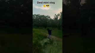 Desi Vlog