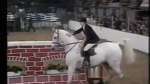 Caroline Bradley & Tigre  - Horse Of The Year Show...