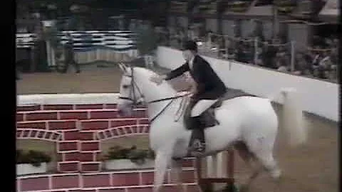 Caroline Bradley & Tigre  - Horse Of The Year Show...