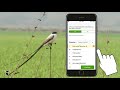 Birding and eBird Reporting Quiz