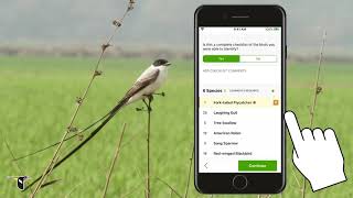 Reporting Unusual Birds on eBird Mobile - eBird Essentials