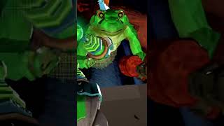 The animal company or play  ruff nauts￼