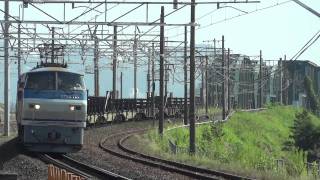 【HD】EF66-118 貨物列車(8865レ EF64-1010無動回送付 レール運搬車)穂積