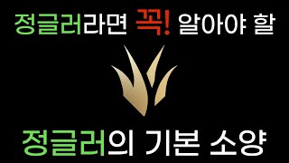롤 정글의 기본 이거 보고 티어 안오르면 무료 강의 해드립니다.