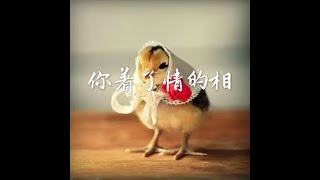 201408 你着了情的相30935