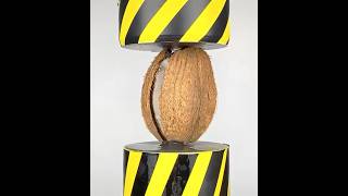 Best crushing coconut vs hydraulic press experiment oddly asmr shorts video satisfying #press