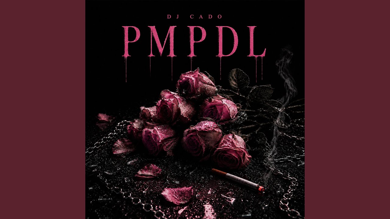 Guarda PMPDL su YouTube Guarda PMPDL su YouTube