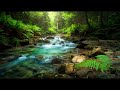8 HOURS of Deep RELIEF MusicMELTS Stress & Anxiety Away (Ultimate Alpha Waves) FINALLY, Peace.78