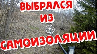 картинка: Устал сидеть дома.КОП с металлоискателем XP ORX.Апрель 2020