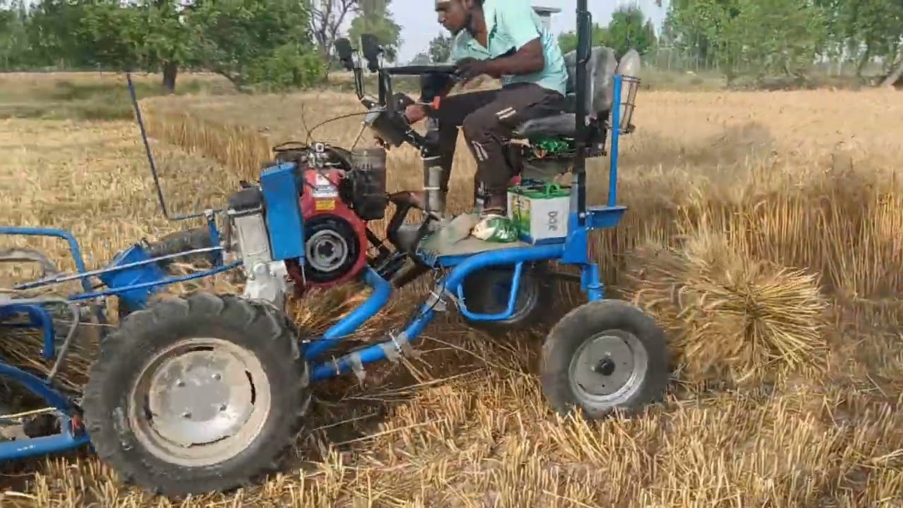 BCS wheat cutter#genhu katai#agriculture #villagelife #kisan#farming
