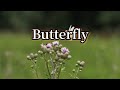 久々の歌はイヤホン必須の「Butterfly」/クリス・ハート