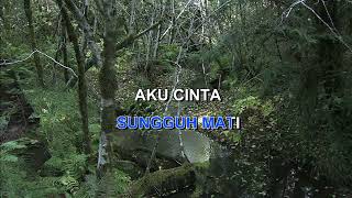 Akhirnya Ku Jatuh Cinta Obbie Mesakh Indonesian Malay Karaoke