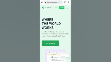 Picoworkers how to work 2022
