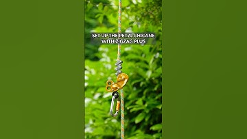 Petzl Chicane and Zigzag Plus set up! #petzl #arborist #treeclimber
