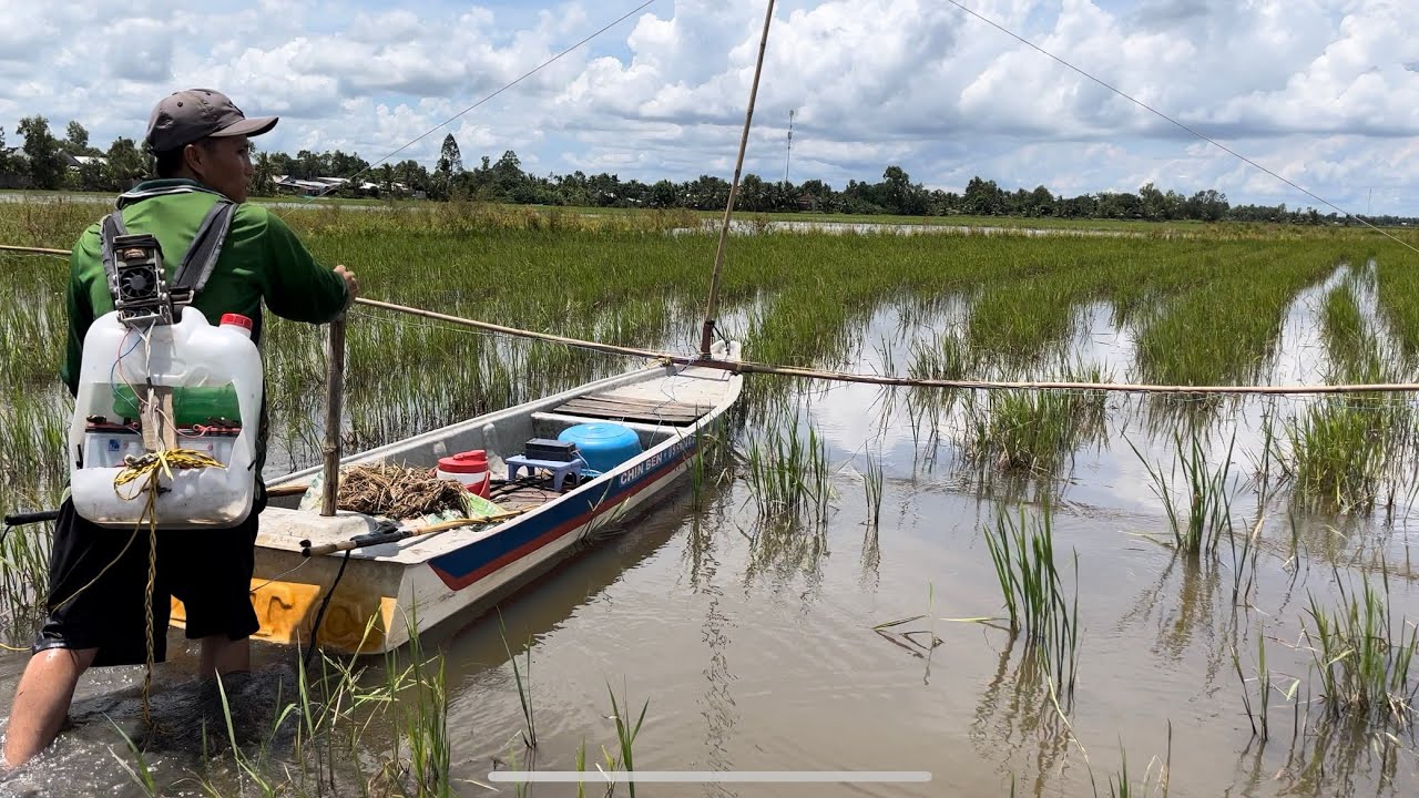 Bắt cá độc lạ miền tây - YouTube