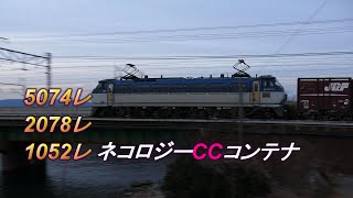 2020/02/07 JR貨物 夕方5時台 浜名湖三番鉄橋を渡る貨物列車3本 1052レにネコロジーCCコンテナ有り