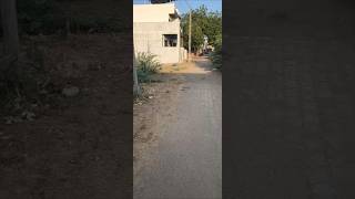 Near Me Home Snack 🥨 #snack #snackvideo #animals #whatsappstatus #instagram #facebook #shorts #reels
