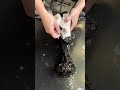 depilation