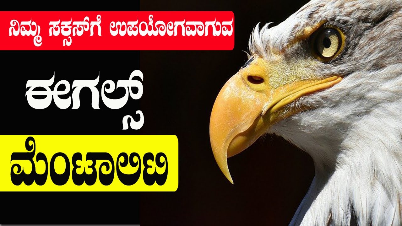 eagle essay in kannada