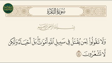 ( ولا تقولوا لمن يقتل في سبيل الله أموات بل أحياء ولكن... ) سورة البقرة ايه رقم 154 || ماهر المعيقلي