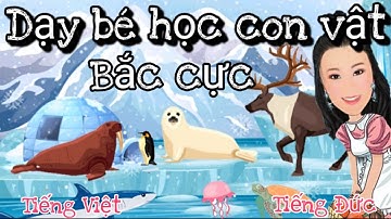 Dạy bé học  các loại động vật || bắc cực / tại biển 🇩🇪🇻🇳