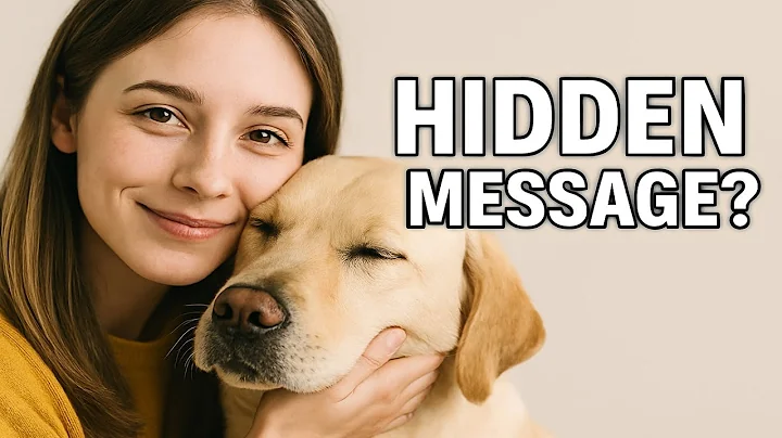 “Your Dog’s Stretch Isn’t Just Cute 🐶 Here’s What They’re Secretly Telling You!”