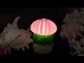 貝殻のお洒落ランタン　Seashell lamps.