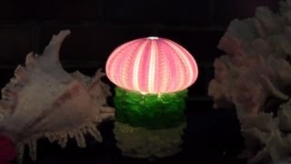 貝殻のお洒落ランタン　Seashell lamps.