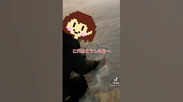 クソコラ アンダーテール 