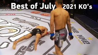 MMA's Best Knockouts of the July 2021 | Part 2, HD