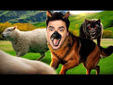 VIREI UM CACHORRO POR 24 HORAS!