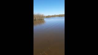 Mañana de pesca de verano