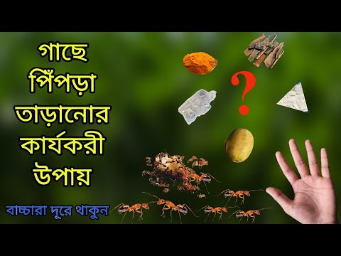 ভিডিও: ইনস্টাগ্রামে ইমোজি 3োকানোর টি উপায়