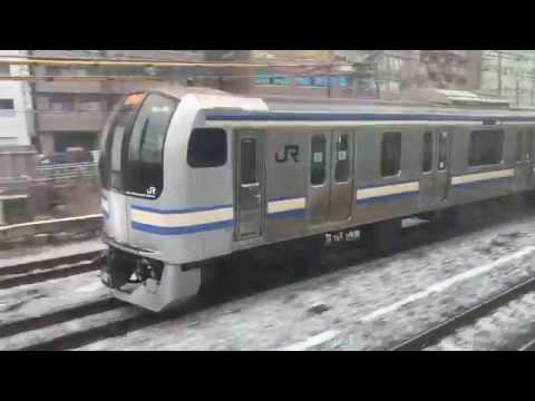並走！　E217系横須賀線　E231系東海道線　横浜駅同時入線