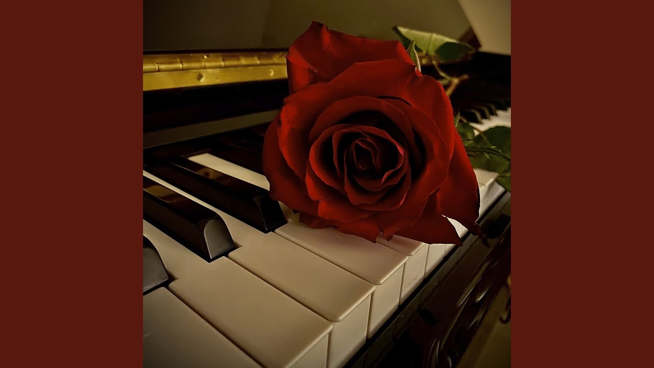 Watch Myosotis on YouTube Watch Myosotis on YouTube